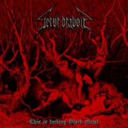 Servi Diaboli : This Is Fucking Black Metal